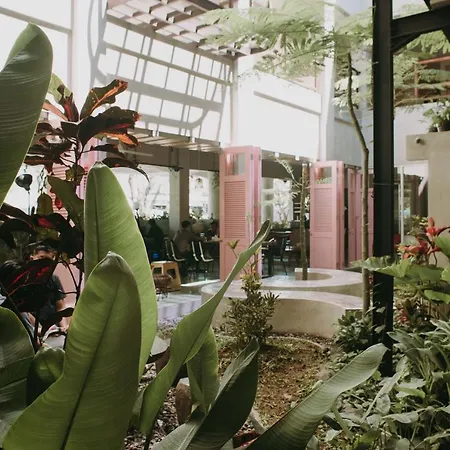 Panahouse Surabaya-3